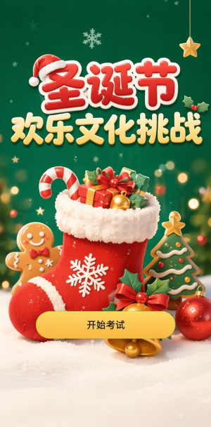 圣诞节挑战