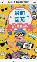寻找社区里的最萌“国宠”