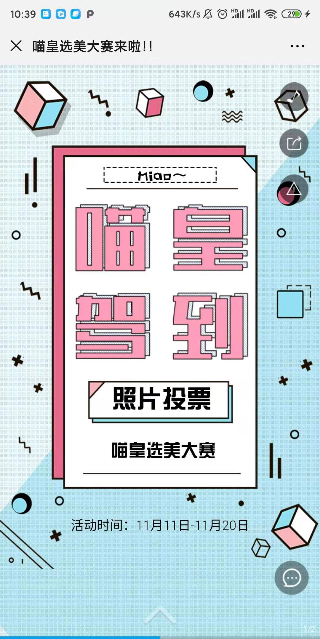 喵皇选美大赛来啦!!