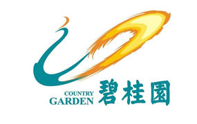 碧桂园∣2017年碧桂园玩翻“仲夏狂欢夜”