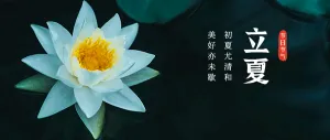 24节气立夏荷花公众号首图