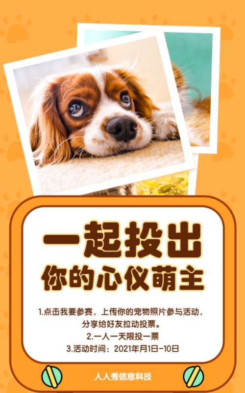 一起投出你的心仪萌主吧