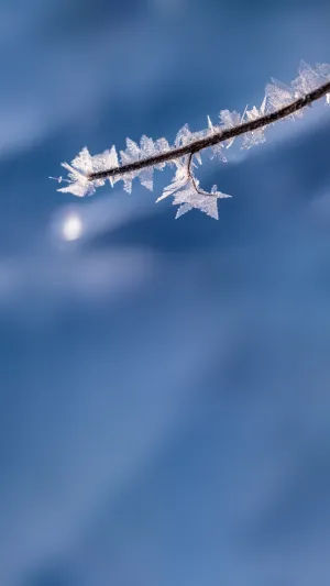 中学教师满意度调查问卷