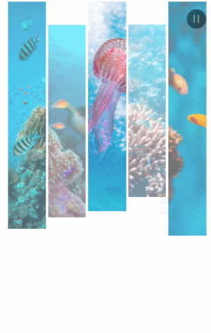 世界海洋日