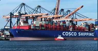 用麦客系统分类记录生产作业信息，实时接收安全隐患报告，汇总安全工作验收情况，构建数字化的HSE及时响应管理平台