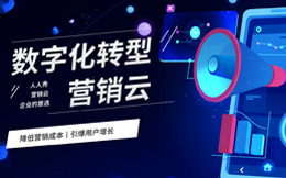 电商数字化转型:电商巨头的秘密武器,巧用数字化打造市场新机遇!