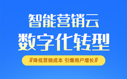 电商数字化转型:数字化风暴席卷电商产业!新时代电商成功的不二法门揭秘!