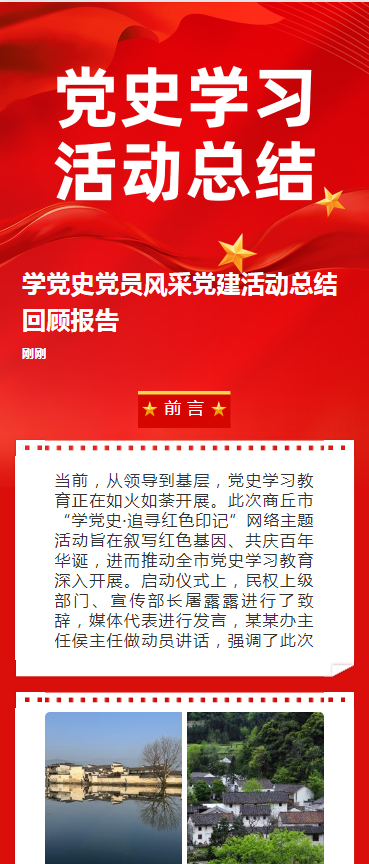 学党史党员风采党建活动总结回顾报告