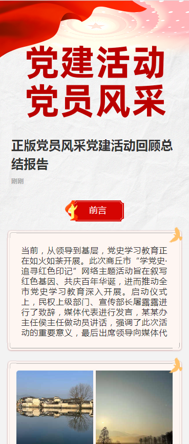 正版党员风采党建活动回顾总结报告