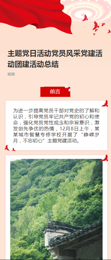 主题党日活动党员风采党建活动团建活动总结