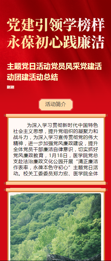 主题党日活动党员风采党建活动团建活动总结