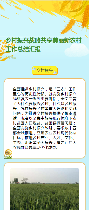 乡村振兴战略共享美丽新农村工作总结汇报