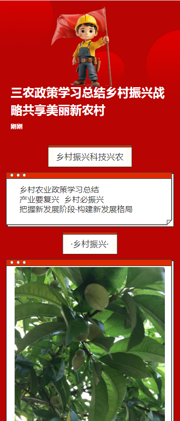 三农政策学习总结乡村振兴战略共享美丽新农村
