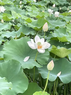 未命名
