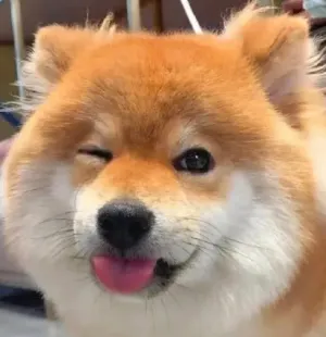 爱在七夕有想 奖测试