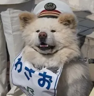 兴趣培训班招生