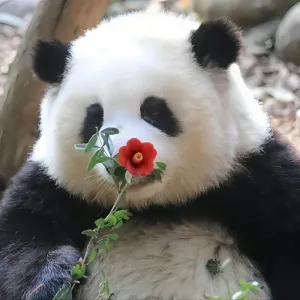 老模板一镜到底企业会议邀请函