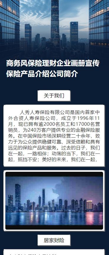 商务风保险理财企业画册宣传保险产品介绍公司简介