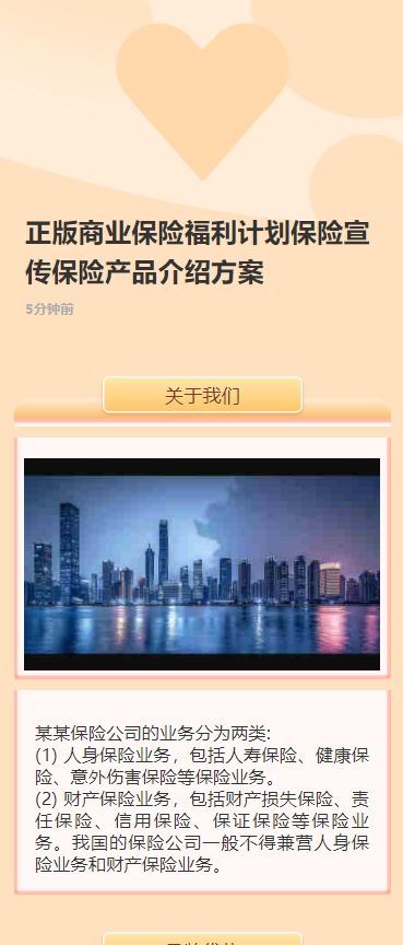 正版商业保险计划保险宣传保险产品介绍方案