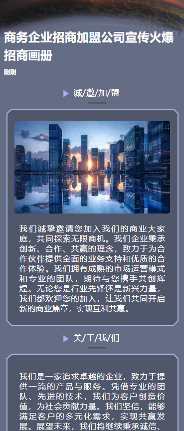 商务企业招商公司宣传火爆招商画册