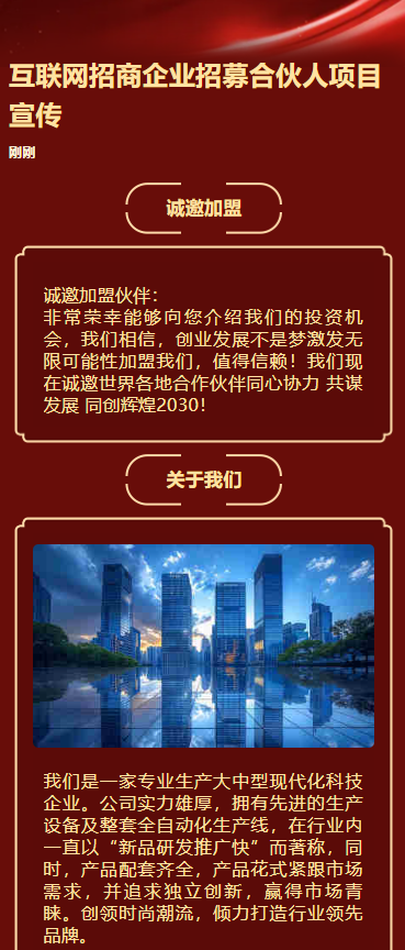 互联网招商企业招募合伙人项目宣传