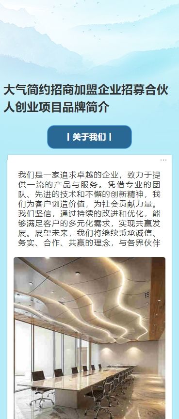 大气简约招商企业招募合伙人创业项目品牌简介