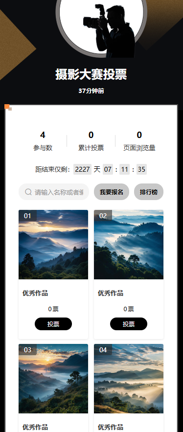 摄影大赛投票