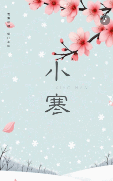 小寒节气企业祝福宣传简约