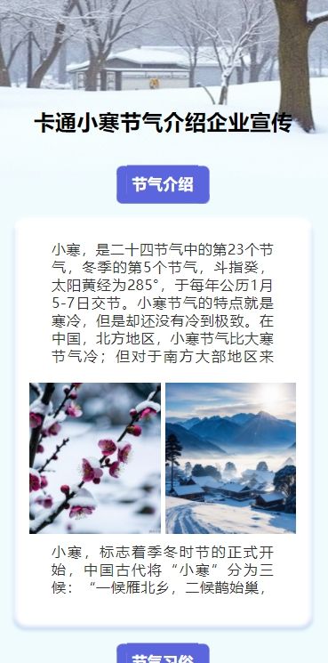 卡通小寒节气介绍企业宣传
