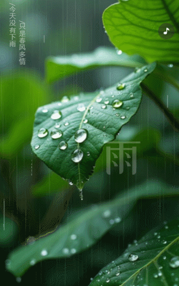 中国风二十四节气雨水节气介绍企业宣传