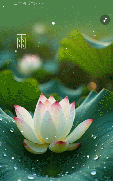 清新二十四节气冬至习俗介绍雨水节气企业宣传