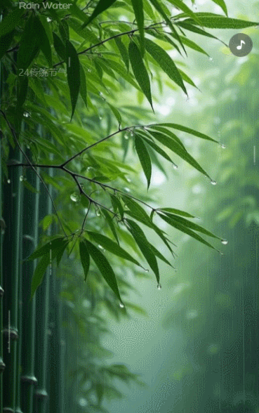 小清新雨水气介绍企业宣传