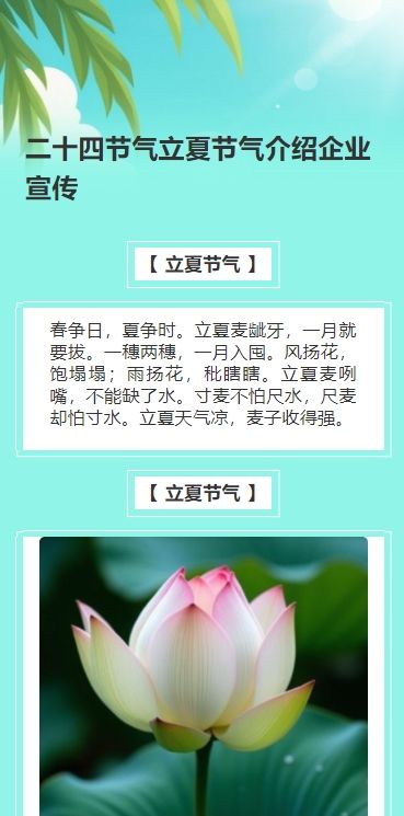 绿色清新风二十四节气立夏节气介绍企业宣传
