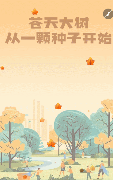 苍天大树  从一颗种子开始