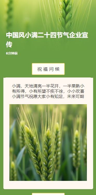 中国风小满二十四节气企业宣传
