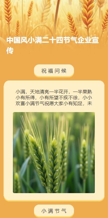 中国风小满二十四节气企业宣传