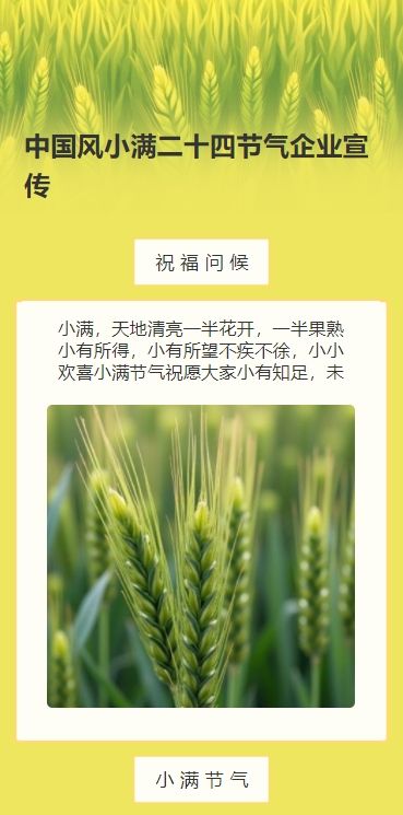 中国风小满二十四节气企业宣传