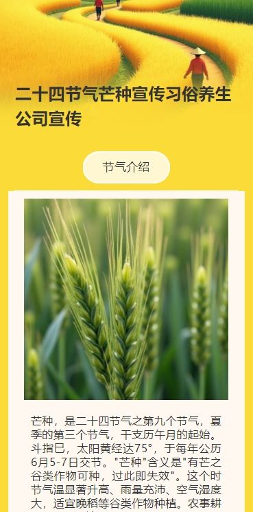 二十四节气芒种宣传习俗养生公司宣传