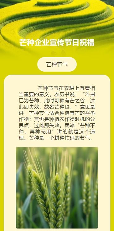 芒种企业宣传节日祝福