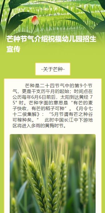 手绘卡通芒种节气介绍祝福幼儿园招生宣传