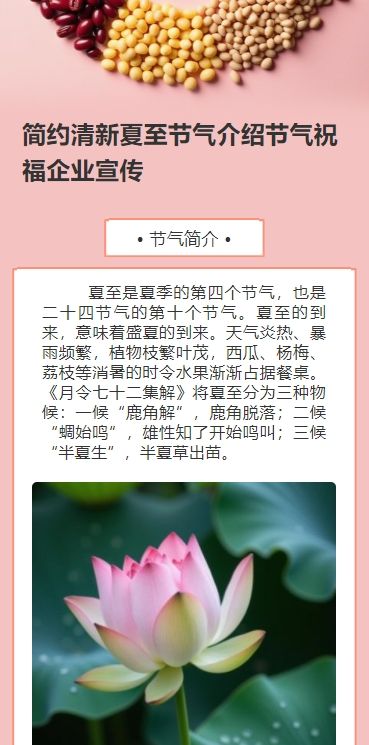 简约清新夏至节气介绍节气祝福企业宣传