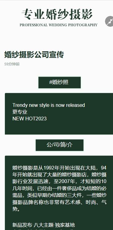 婚纱摄影公司宣传方案
