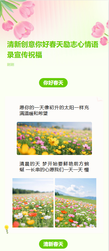 清新创意你好春天励志心情语录宣传祝福
