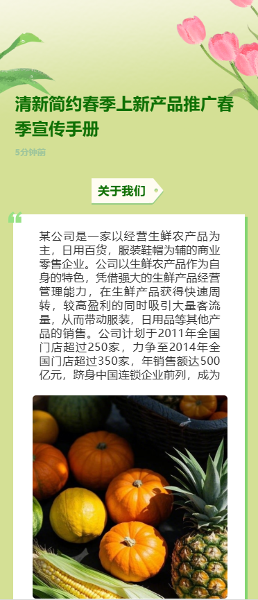 清新简约春季上新产品推广春季宣传手册