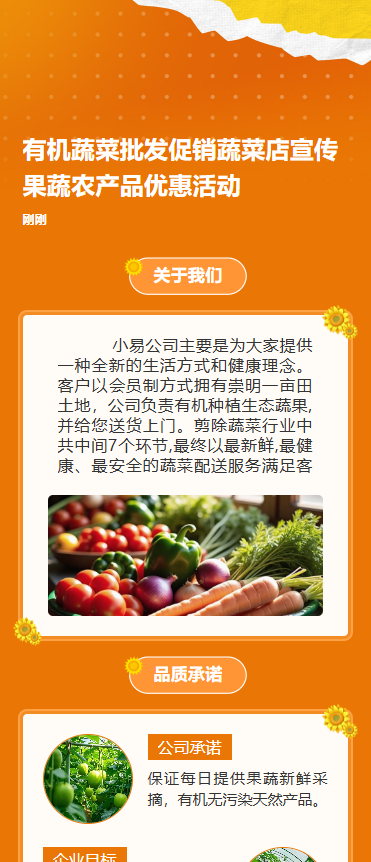 有机蔬菜批发促销蔬菜店宣传果蔬农产品优惠活动