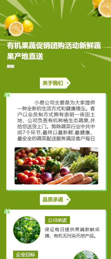 有机果蔬促销团购活动新鲜蔬果产地直送