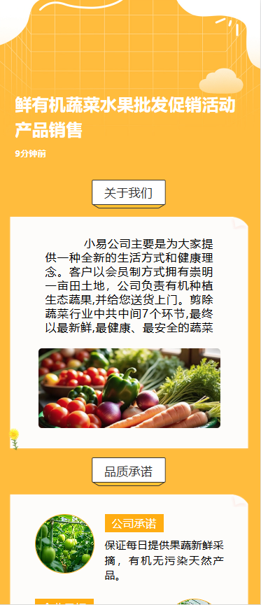 鲜有机蔬菜水果批发促销活动产品销售