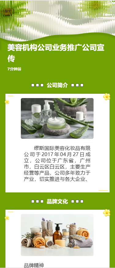 清新手绘美容美业企业宣传公司介绍宣传