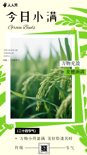 二十四节气小满节气祝福企业节气宣传