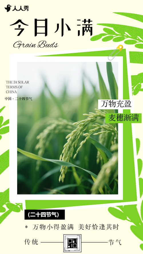 二十四节气小满节气祝福企业节气宣传
